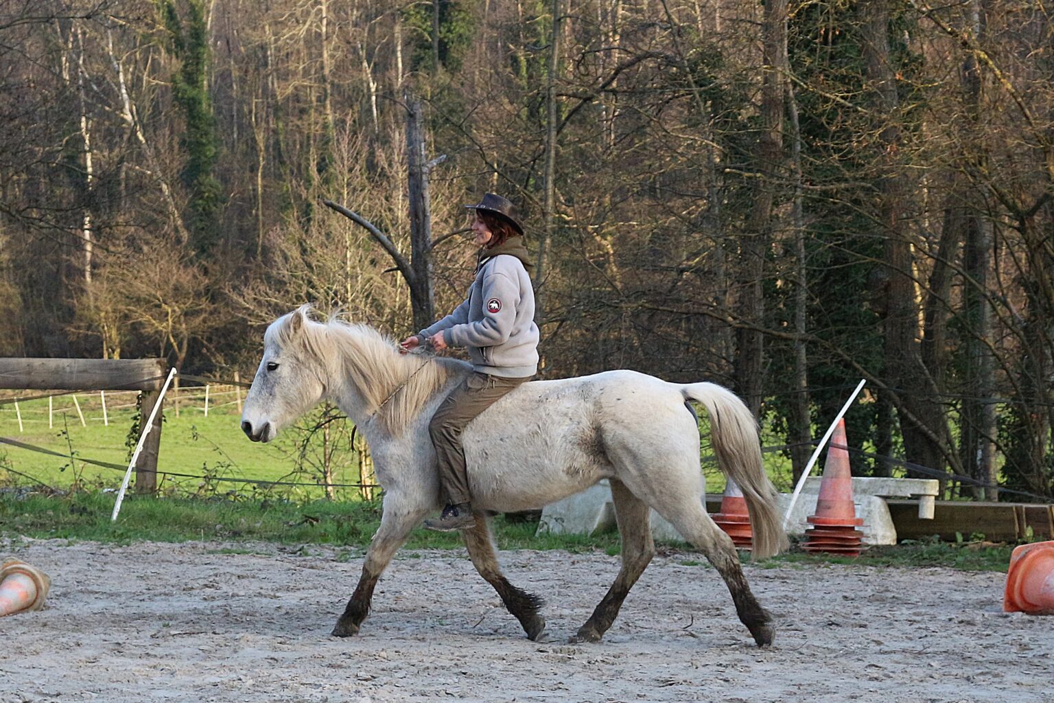 Bilan comportemental